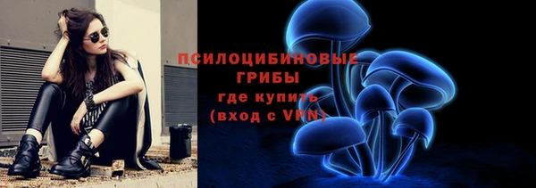 СК Дмитриев