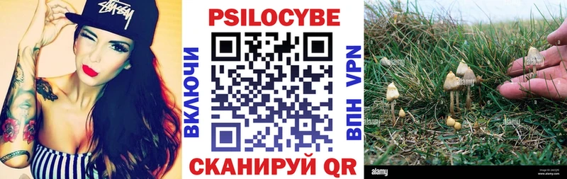 Галлюциногенные грибы мицелий  Западная Двина 